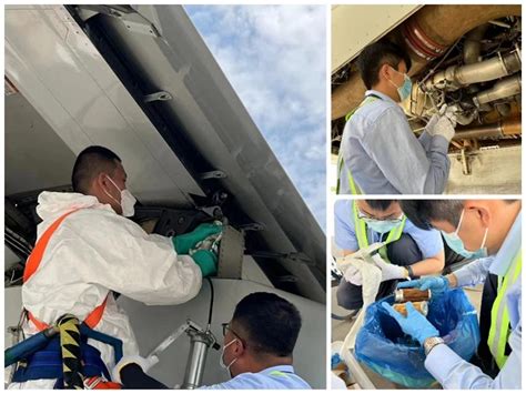 山航工程技术公司厦门基地完成首次定检维修工作 - 民用航空网