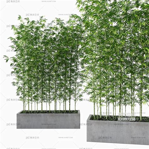现代竹子盆栽,3d模型下载-【集简空间】「每日更新」
