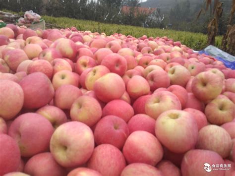 郑州成为国内空运入境水果主要集散地 内陆水果市场发展迅速 | 国际果蔬报道