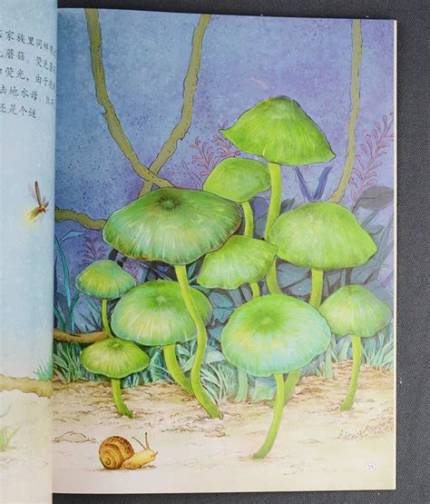 《奇趣植物科普绘本馆:花儿的秘密+椰子的旅行+奇妙的南瓜等(套装共10册)》 - 淘书团