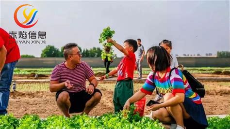 青禾耘梦--探索共享农场的新农人—绘就乡村振兴新蓝图_讯闻文化传媒,一线聚焦