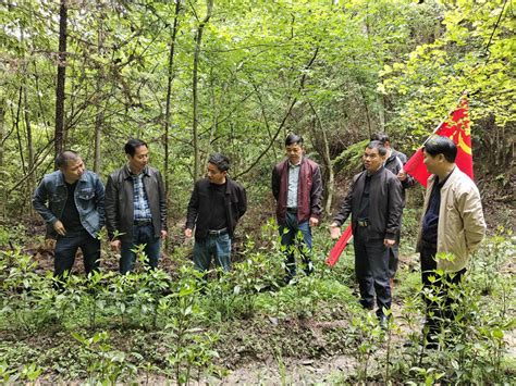 于都县小溪林场组织党员干部到赣县考察学习林业产业发展工作 | 赣南林业网