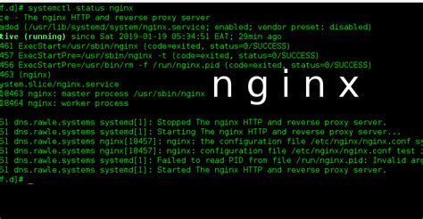 Linux环境下使用docker部署SpringBoot+Mysql项目并使用nginx代理_linux springboot ...