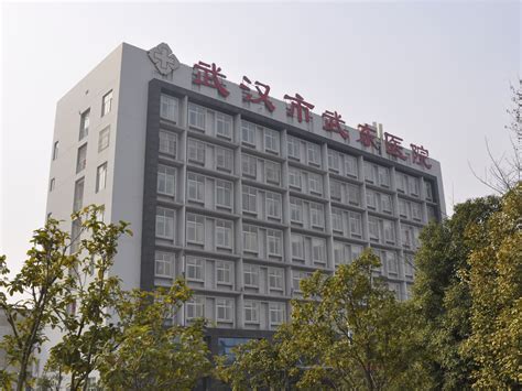 这个区要建4家三甲医院、8所学校_长江网武汉城市留言板_cjn.cn