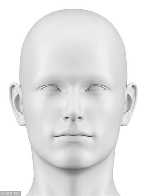 人脸模型 抽象 白膜 人头