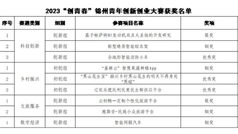 我校师生在2023“创青春”锦州青年创新创业大赛获得佳绩-共青团辽宁理工职业大学委员会