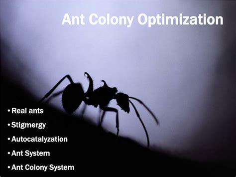 PPT - Ant PowerPoint Presentation, free download - ID:2832885