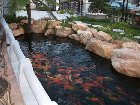 家庭院鱼池设计,长方形鱼池效果图大全,家庭院子砖砌鱼池图片_大山谷图库