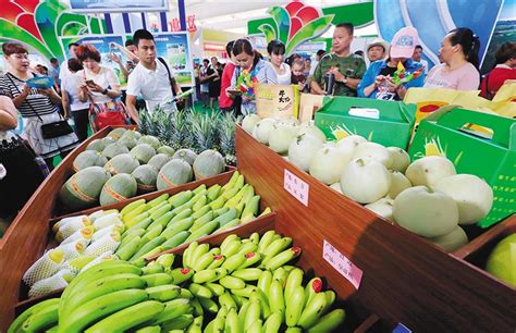2023年前三季度儋州农业总产值超153亿元