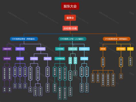 公司管理架构图图片