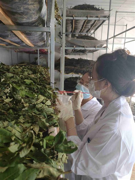 茶叶品质特征成分和营养功效研究平台与技术_新技术_中国农业科学院茶叶研究所