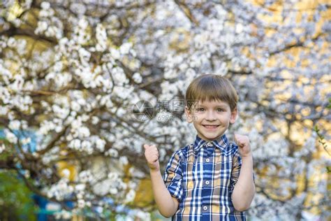 春天的幼儿男孩在花树附近微笑高清图片下载-正版图片505078437-摄图网