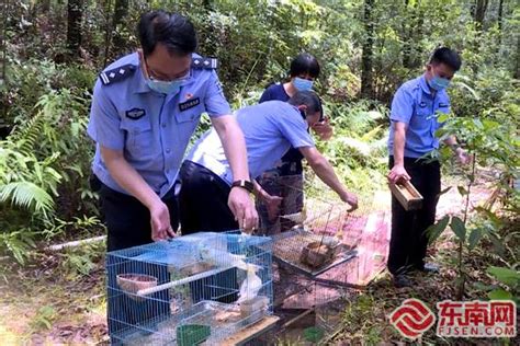 信丰县救助放生国家一级保护野生动物中华穿山甲 | 赣南林业网