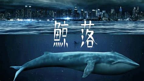 一鲸落万物生，为何鲸鱼的死亡会被称为大自然最浪漫的？