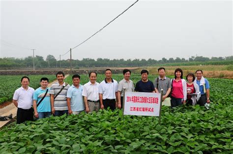 中国农技推广lOGO设计图__海报设计_广告设计_设计图库_昵图网nipic.com