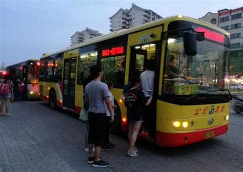 厦门环岛观光双层巴士票（领略厦门岛靓丽风光 享受城在海上 海在城中的独特风光）,马蜂窝自由行 - 马蜂窝自由行