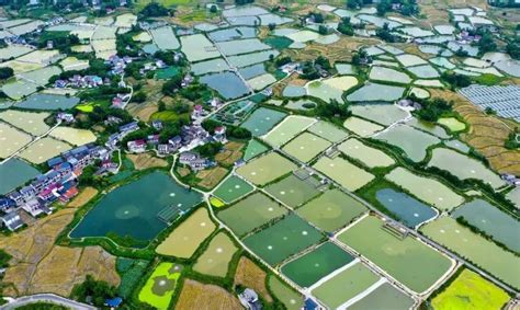 探索推广“小微湿地+”发展模式 绿色中国行走进重庆梁平