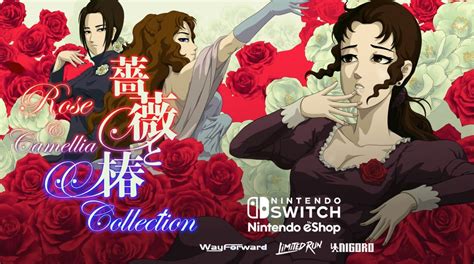 体感扇嘴巴格斗游戏《蔷薇与椿合集》公布Switch版_3DM单机