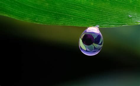 由上万张图片组成的彩虹昆虫的微距照片 | 英国摄影师 Levon Biss