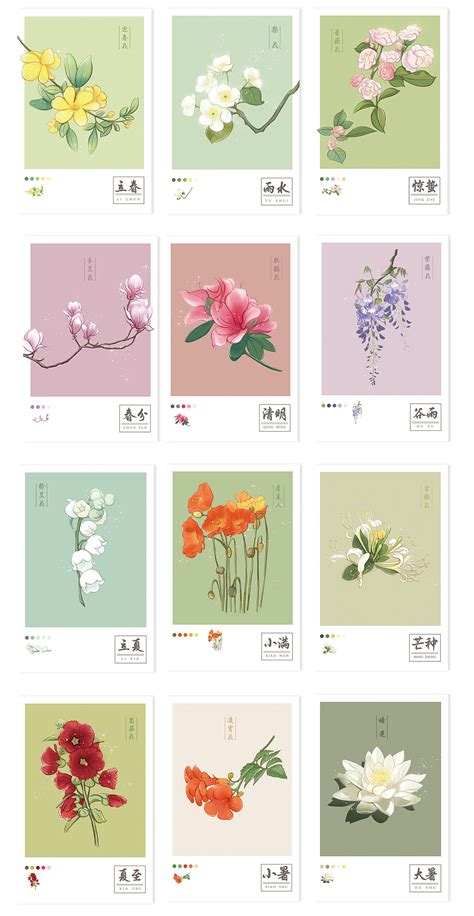 东溟崇岳 · 二十四节气花卉系列插画－春分 - 堆糖，美图壁纸兴趣社区