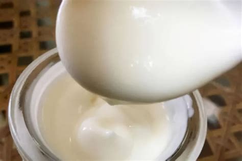 全脂乳粉什么意思（全脂乳粉什么意思，什么是乳粉？乳粉可以分成哪些种类？） | 说明书网