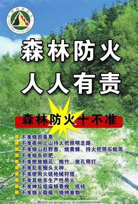 河北省森林防火规定图册_360百科