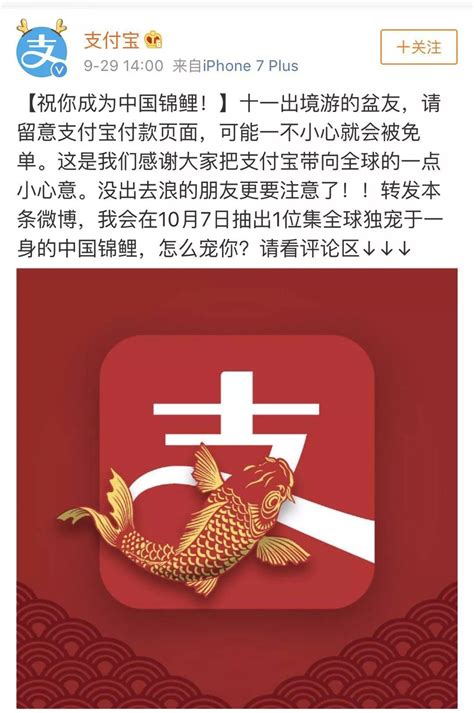 公司说|支付宝的“中国锦鲤”花式营销解读 - 知乎