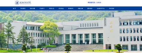 重庆城市科技学院2021高考录取通知书查询入口