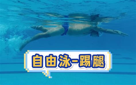 自由泳｜跳水出发-bilibili(B站)无水印视频解析——YIUIOS易柚斯