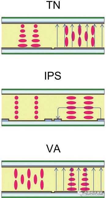 显示器TN、IPS、VA面板类型哪个好? - 知乎