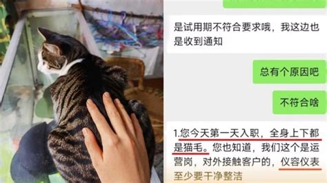 男子称入职第一天因衣服有猫毛被辞退_凤凰网视频_凤凰网