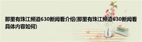 广东电视珠江台《630新闻》报道、采访婚姻家庭法律专业委员会主任游植龙——广东婚姻法律网