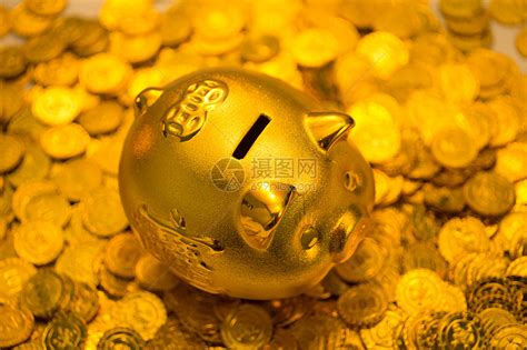 黄金金币和存钱罐高清图片下载-正版图片501984837-摄图网