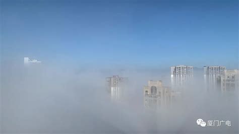 能见度低于200米！今日，厦门大雾！原因是……|大雾|气温|厦门市_新浪新闻