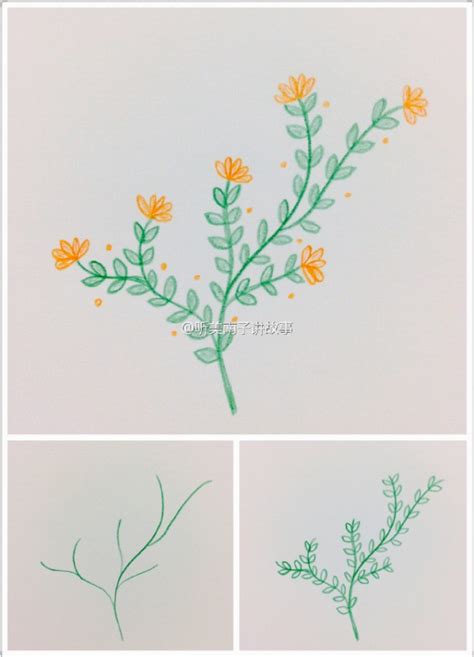 简单彩铅植物简笔画教程 小清新植物简单彩铅画素材图片[ 图片/9P ] - 才艺君