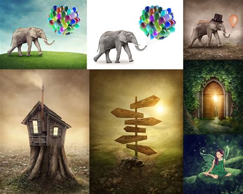 奇幻森林与动物摄影高清图片 - 爱图网设计图片素材下载