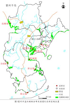 珠三角面积最大红树林21日开放 有红树植物近30种_广东频道_凤凰网