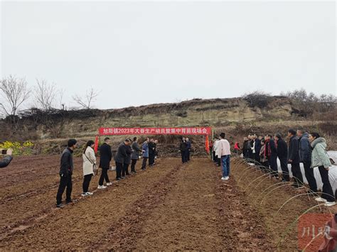 毕节金沙：实施“旱改水” 水淹区变良田_建设