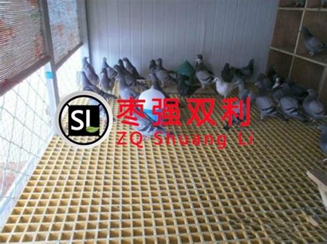 养殖场专用玻璃钢格栅平台_江阴市百川电力科技有限公司