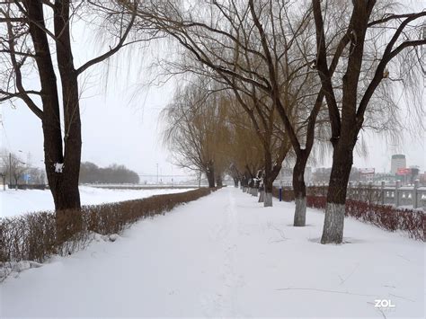 2009年以来最大的一场雪-中关村在线摄影论坛