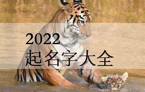 今年给属虎的男宝宝取什么名字好,宝宝名字大全2022属虎 - 一测网