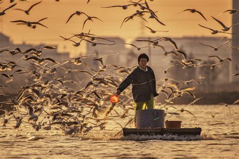 第四届“大美渔村 平安渔业”中国渔业征稿启事-- 中国摄影著作权协会-摄影公社
