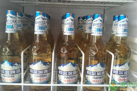 散啤、瓶儿啤……北京人真可离不开它_凤凰网美食_凤凰网