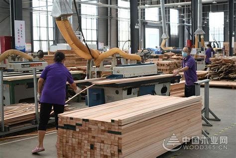 宿迁宿城区高质量推进木材加工和家具制造产业转型升级-中国木业网
