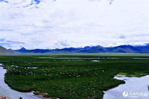 羌塘（藏北）大草原