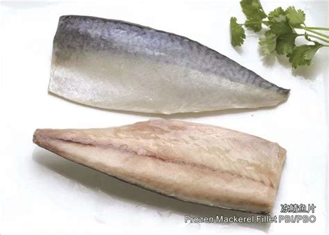 舟山市双赢水产有限公司——专业冷冻鲭鱼加工厂/Professional Mackerel Producer_World Seafood ...