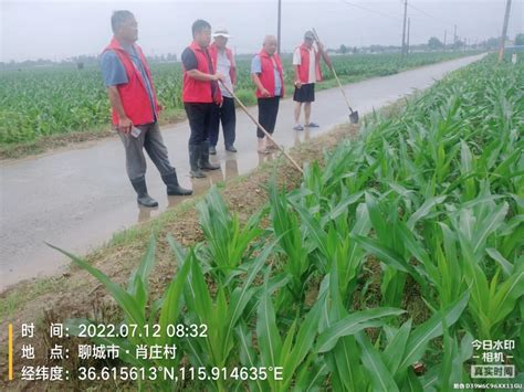 贾寨镇：志愿服务队投身防汛排涝工作 - 茌平融媒