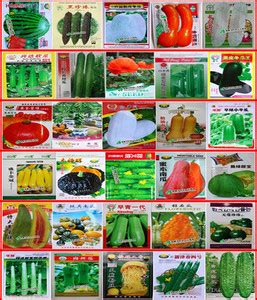 30种蔬菜,1000种蔬菜名字,3000种蔬菜名称大全_大山谷图库