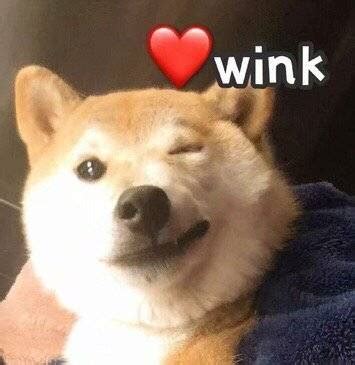 wink~表情包图片 wink~表情包图片