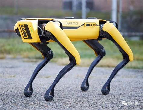 波士顿动力公司黄狗机器人 SpotMini 为同伴开门-创意分享-起米
